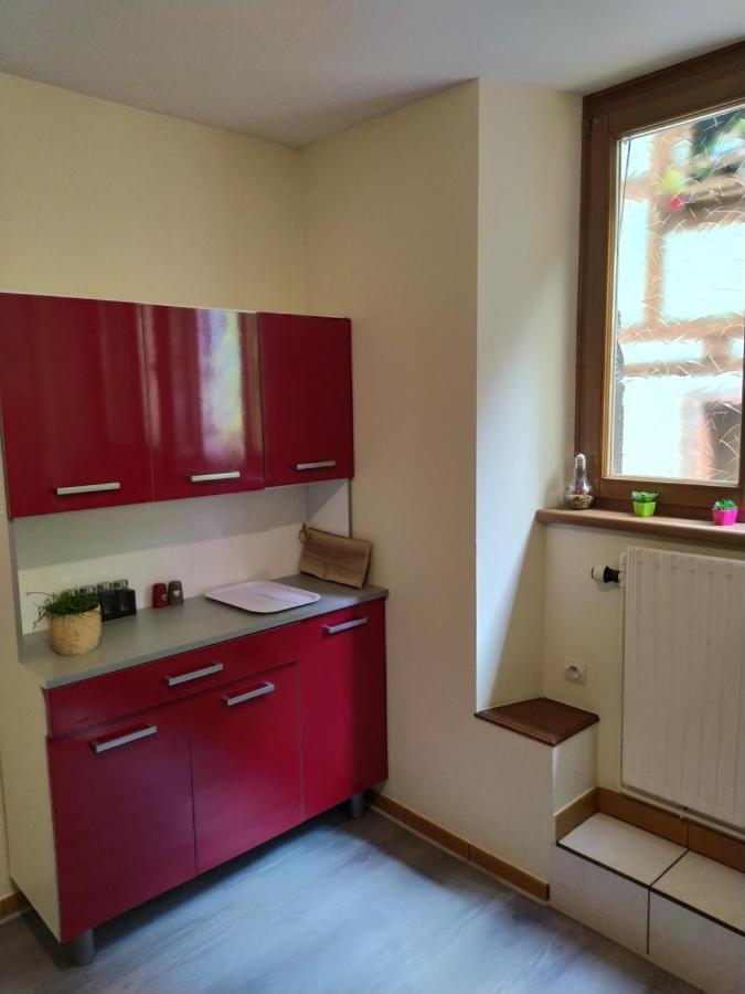 Chey Mybam, Agreable Maison Au Centre De Selestat Villa Luaran gambar