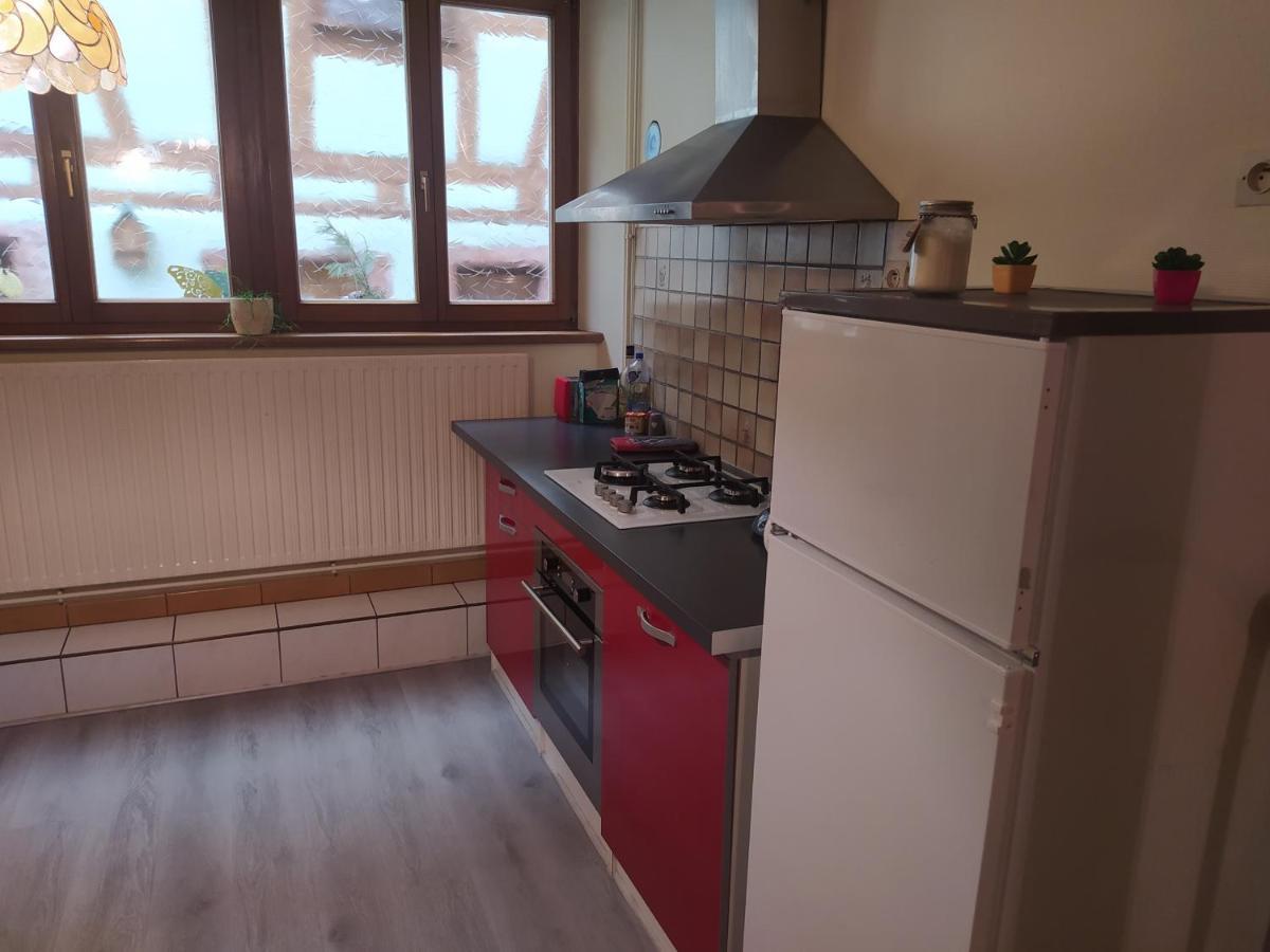 Chey Mybam, Agreable Maison Au Centre De Selestat Villa Luaran gambar